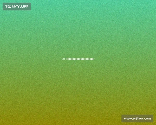 2016上海赛车场全年赛事大盘点精彩回顾荣耀时刻