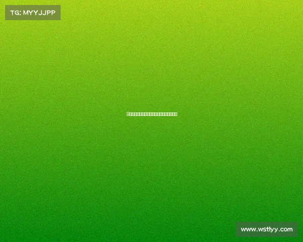 B级赛事深度解析定义特点与行业重要性探讨 B级赛事深度解析定义特点与行业重要性探讨